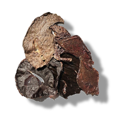 Premio Yummie Deshidratados de Riñon de Res para Perro y Gato