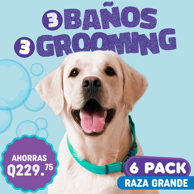 3 Baños 3 Grooming 6Pack Raza Grande