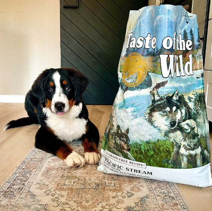 Concentrado Para Perro Taste Of The Wild Puppy Pacific Stream Smoked Salmón