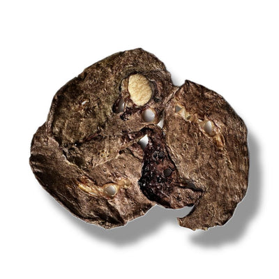 Premio Yummie Deshidratados Pulmon de Res para Perro y Gato