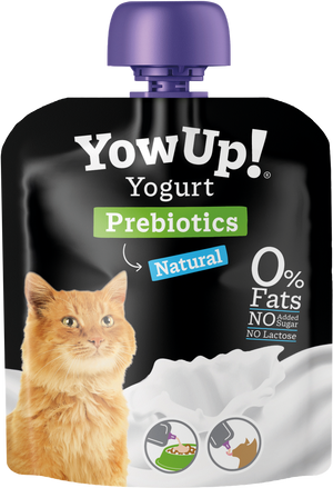 Yogurt Para Gatos Yow Up Pouch