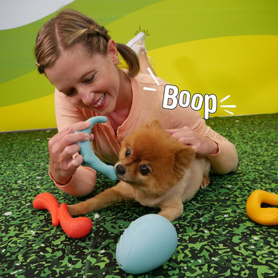 Juguete Para Perrro Nylabone Creative Play Rexxi
