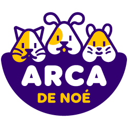 Arca de Noe