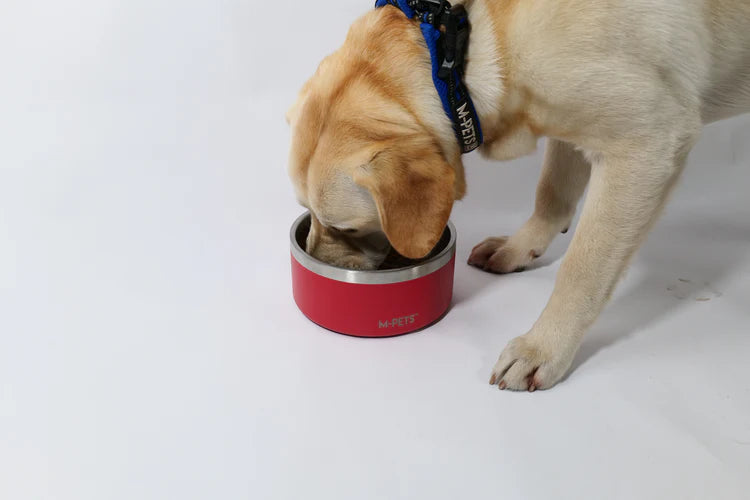 Plato para perro M-Pets Eskimo Color Rojo