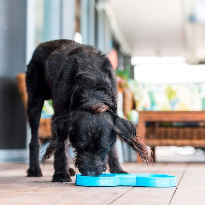 Accesorio Para Perro LickiMat Slodog Turquoise Dog