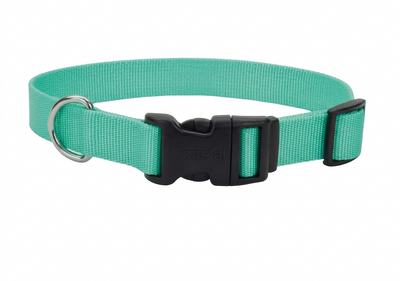 Collar para perro Coastal Nylon Adjustable Plastic Buckle verde azulado