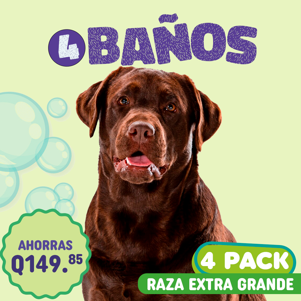 Baño 4Pack Raza Extra Grande