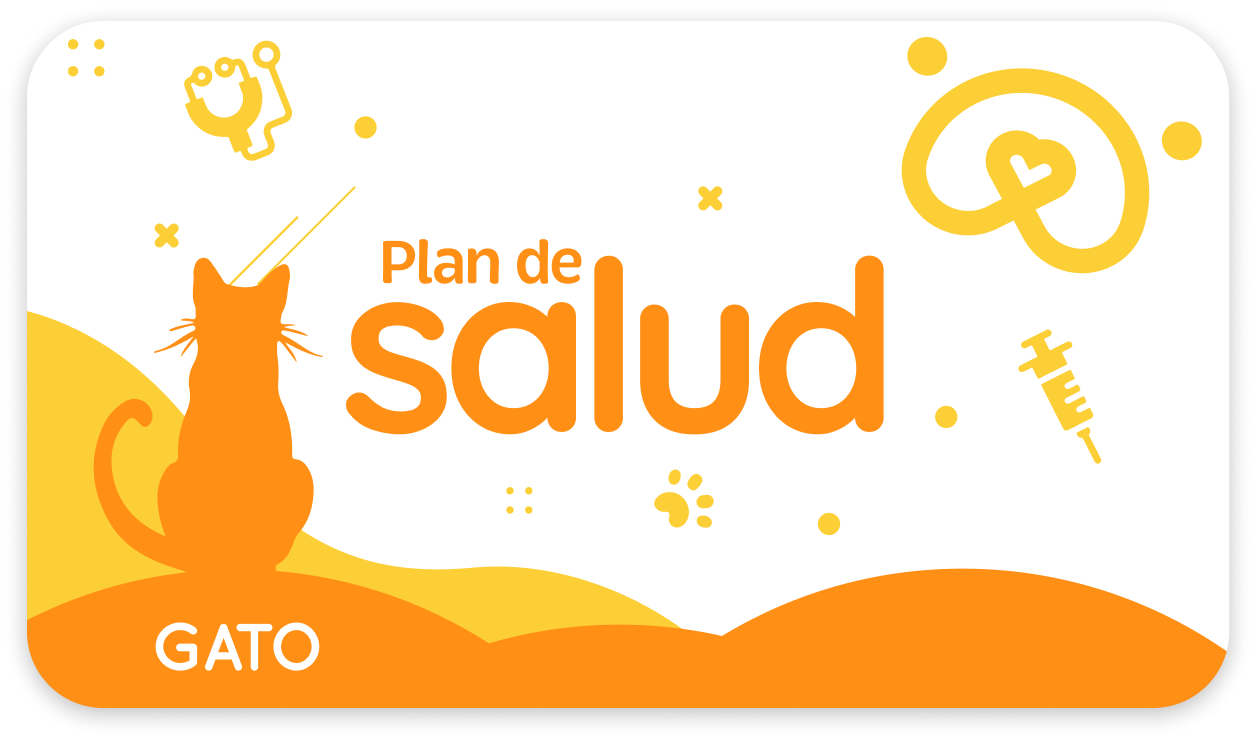 Dana Plan Salud Gato Básico Adulto