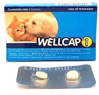 Desparasitante Well Cap #1 para Perros y Gatos.