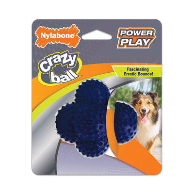 Juguete Nylabone Play Crazy Ball