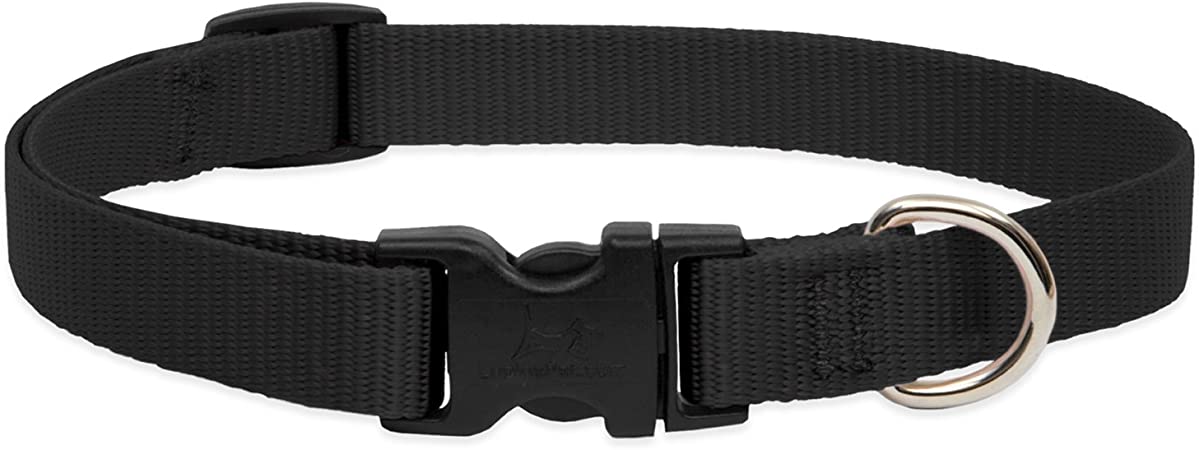 Collar Lupine Black