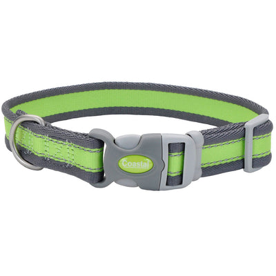Collar Coastal Reflective Aqua with Neon Yellow
