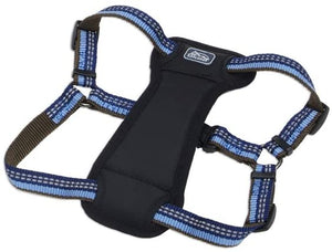 Arnés Coastal Reflective Padded Sapphire