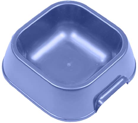 Plato para Perro Vanness Small Dish