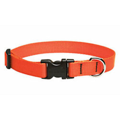 Collar Lupine Orange