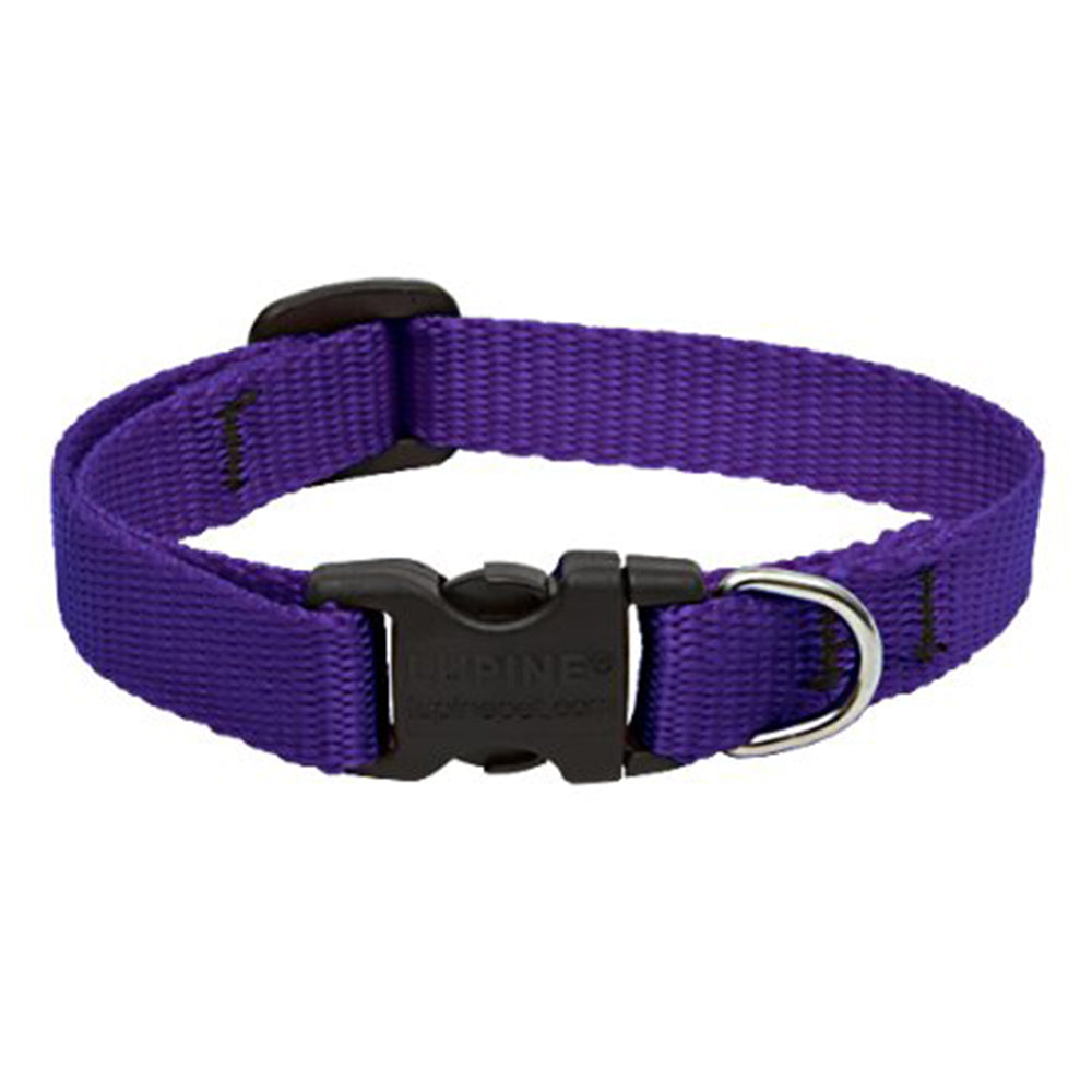 Collar Lupine Purple