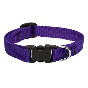 Collar Lupine Purple