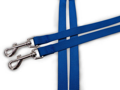 Correa Doble Furhaven Azul