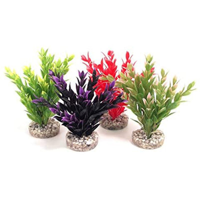 Plantas Roosewood Pet Aquarium Fiesta Ruscus