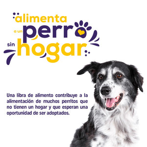 Donación Alimento con Amor - Concentrado para Perros sin Hogar