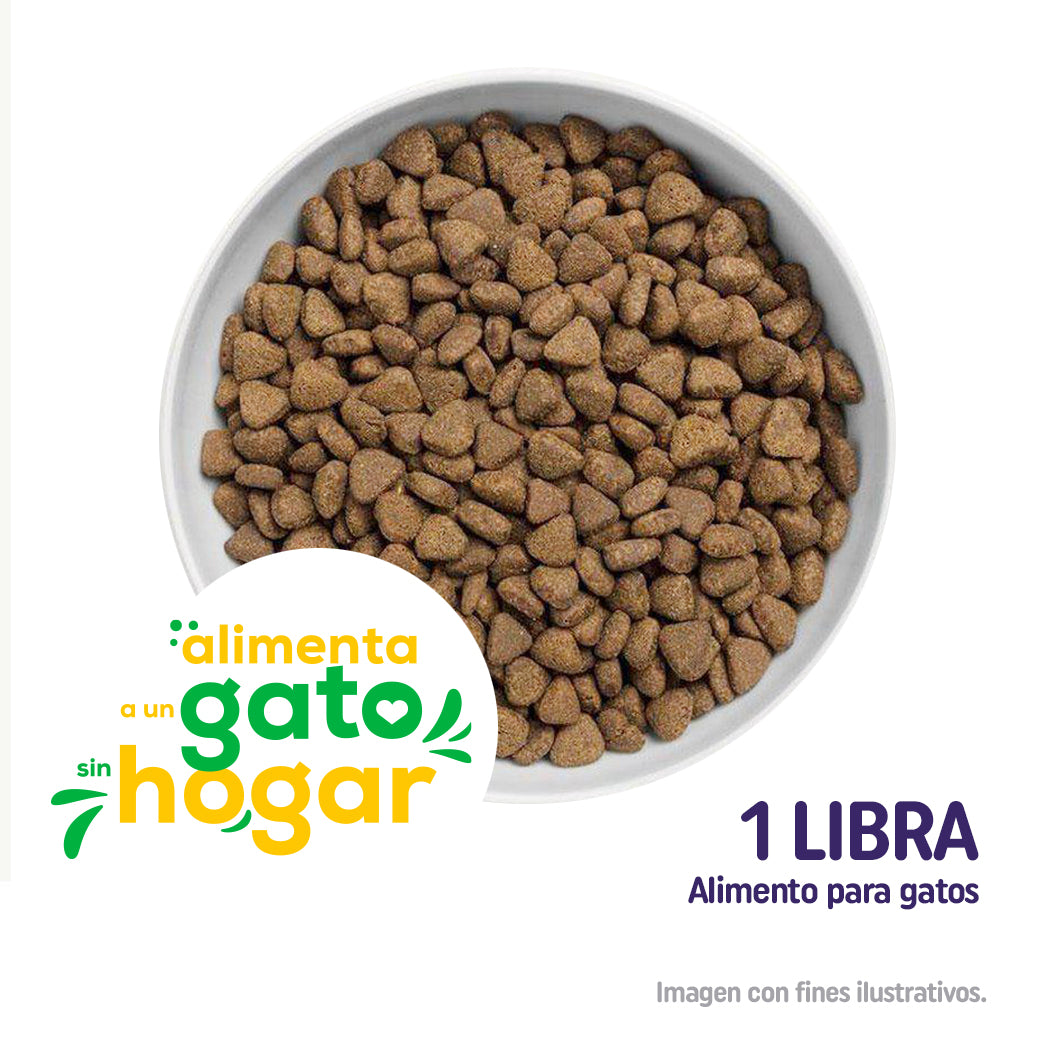 Donación Alimento con Amor - Concentrado para Gatos sin Hogar