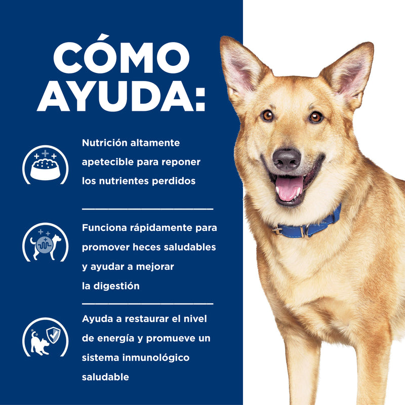 los perros aidi son saludables