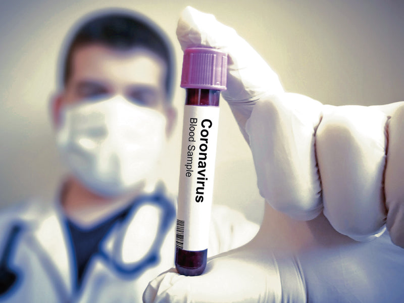 Mascotas y Coronavirus