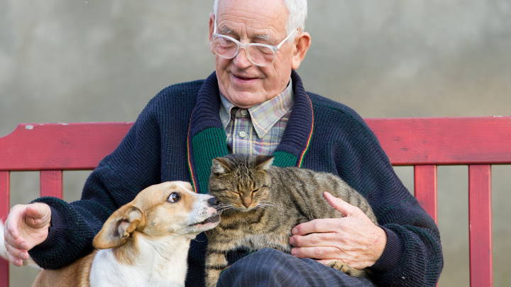 Mascotas y adultos mayores