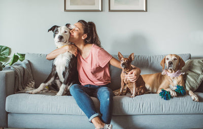 Consejos para crear una rutina para tu mascota
