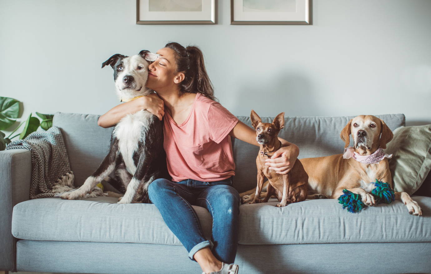 Consejos para crear una rutina para tu mascota