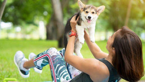 Ejercicios para mantener a tu perro sano y fuerte