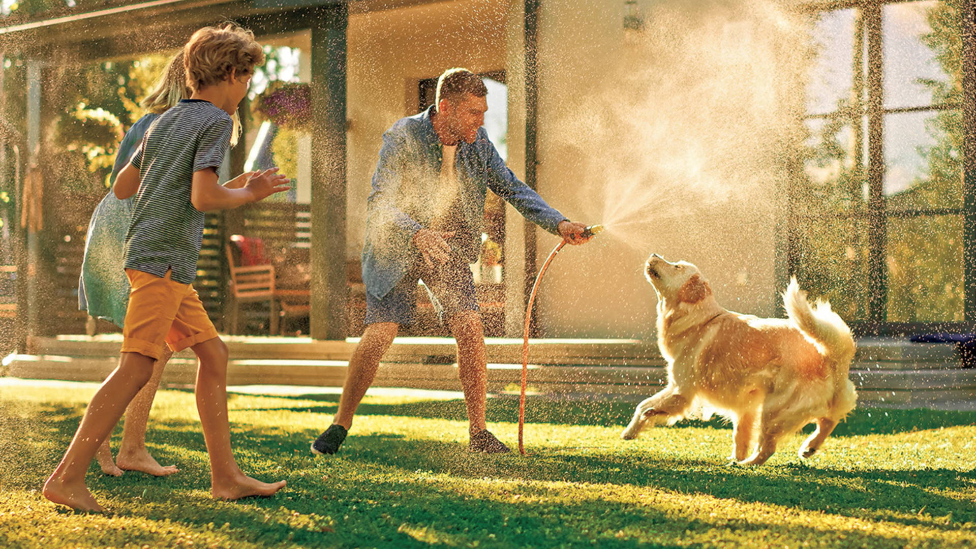 Pros y contras del verano para las mascotas