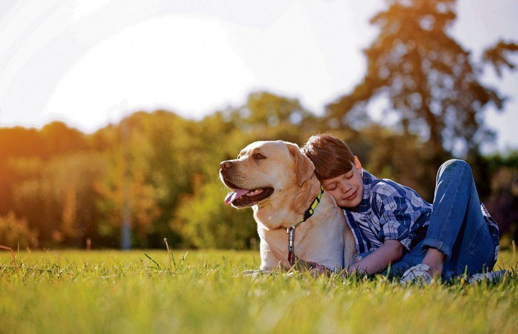 Los beneficios de una mascota en la niñez