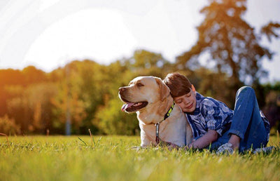 Los beneficios de una mascota en la niñez