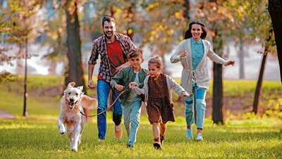 ¿Cómo ser responsable con el medio ambiente al tener una mascota?