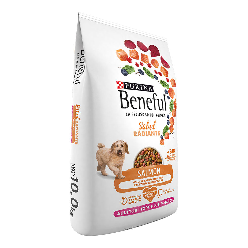 Concentrado para Perro Beneful Adulto Salmón
