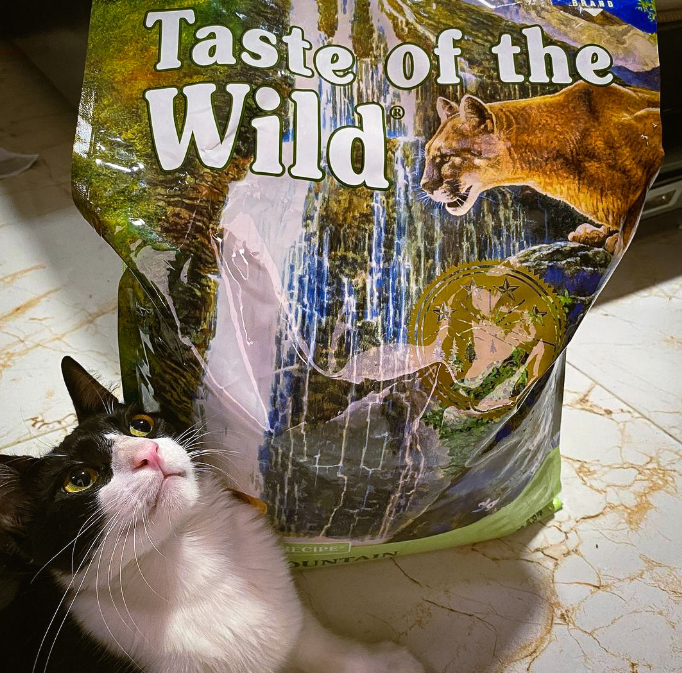 Concentrado Para Gato Taste Of The Wild Rocky Mountain Venison & Salmon