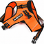 Arnés M-Pets Hiking Triangle - Orange Black