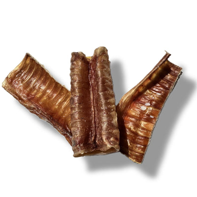 Premio Yummie Deshidratados Traquea de Res para Perro