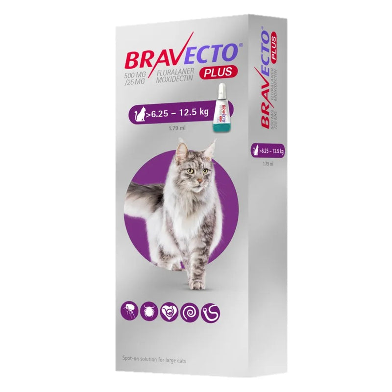 Pipeta Para Gatos Bravecto – Arca de Noe