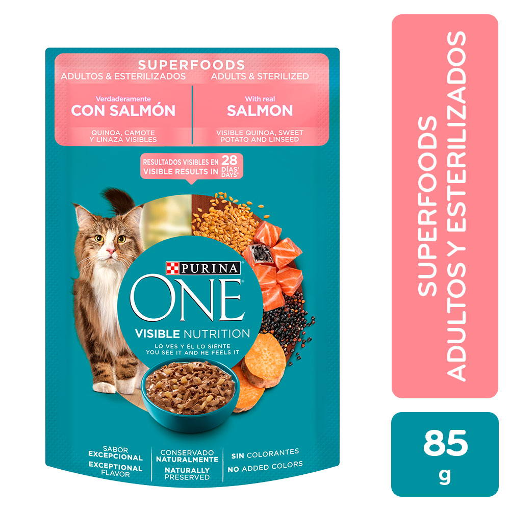 Alimento Para Gato Purina One Salmon