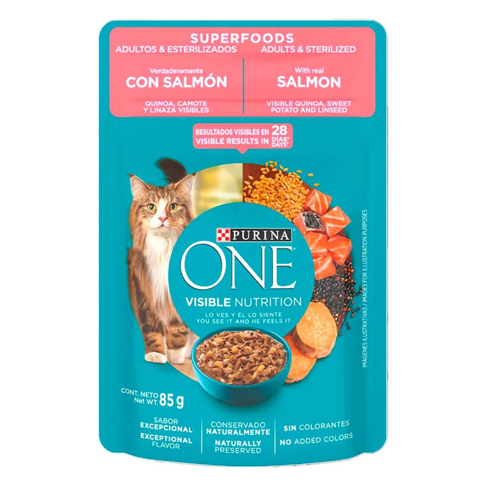 Alimento Para Gato Purina One Salmon