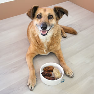 Antojitos Chuminos Tipicos Kani Para Perro