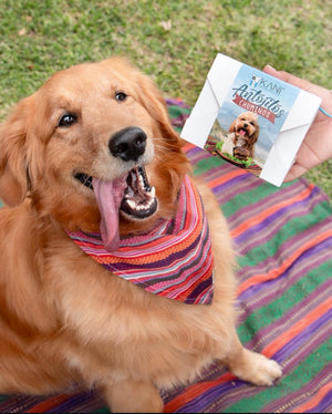 Antojitos Chuminos Tipicos Kani Para Perro