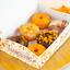 Thanksgiving Donas Congeladas para Mascota Kani