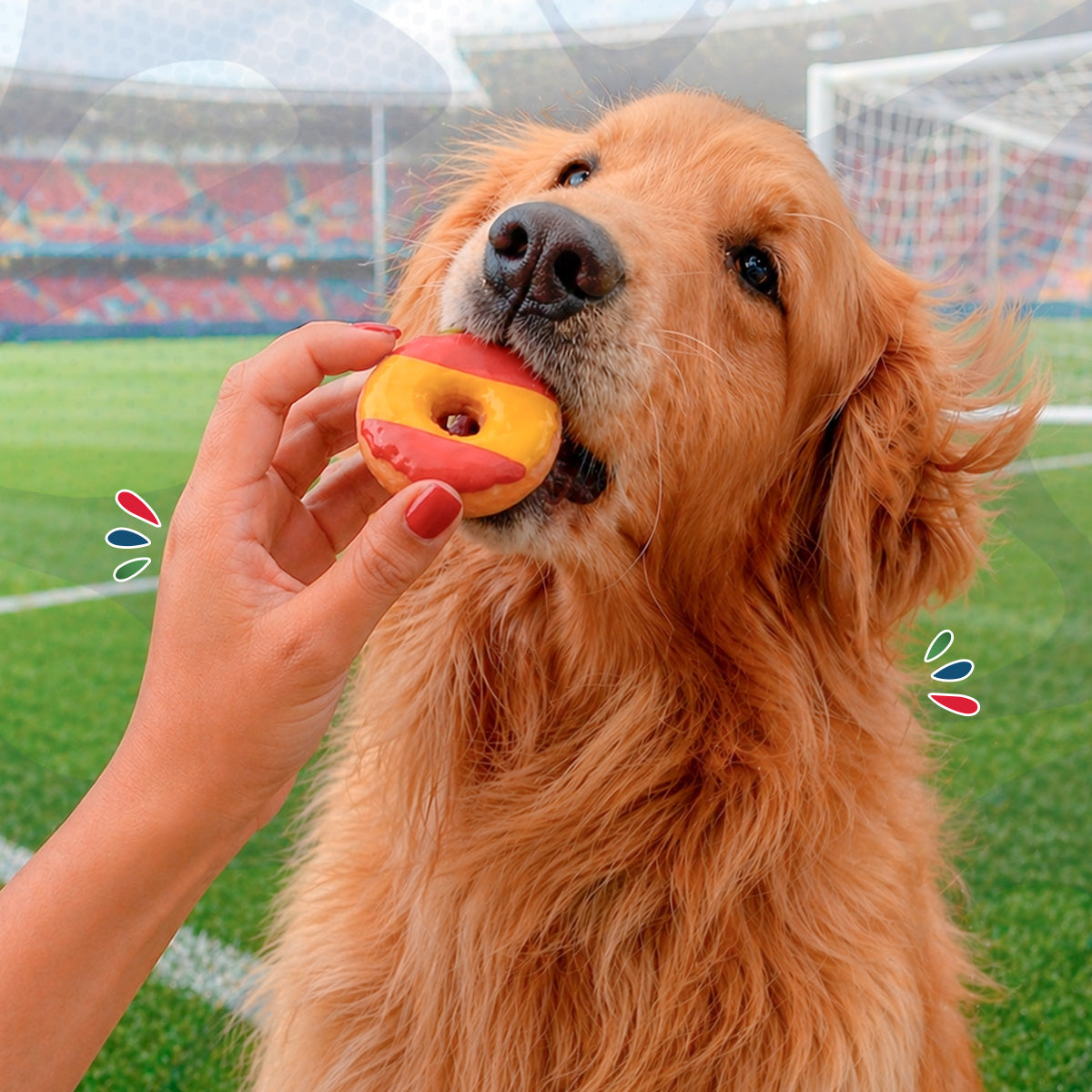 Donas Congeladas para Mascota Mundial 2026