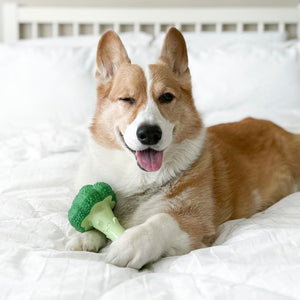 Nylabone Power Chew Brocoli Giant