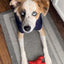 Nylabone Power Chew Lobster Small