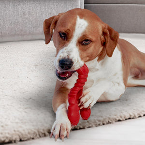 Nylabone Power Chew Lobster Large