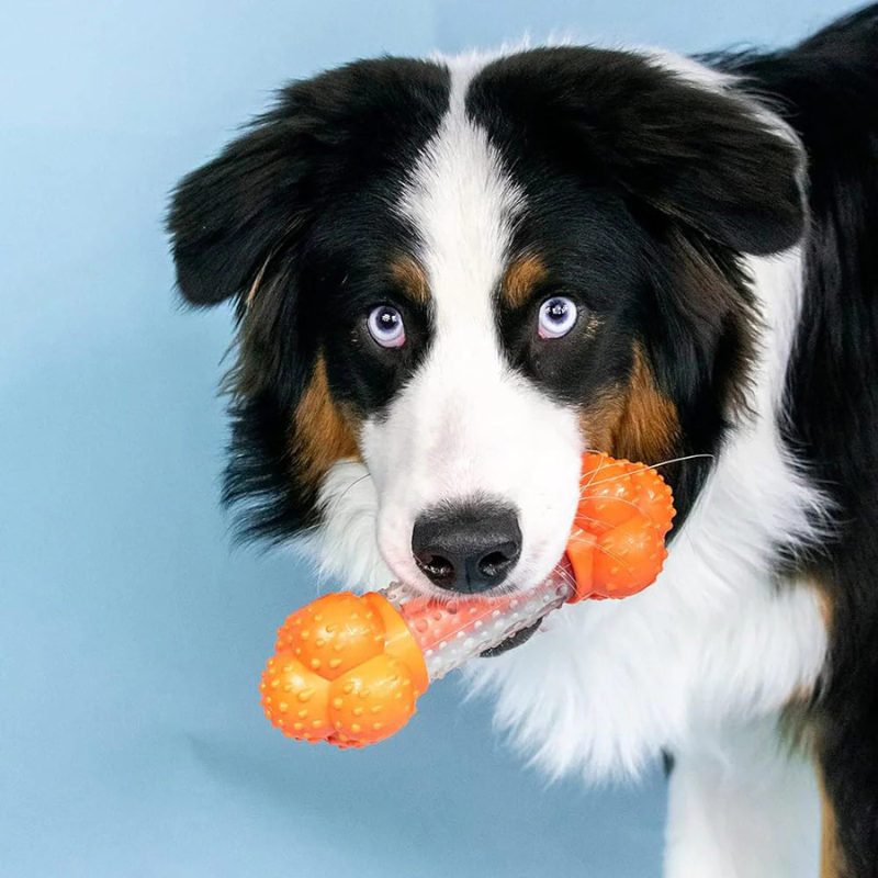 Juguete Para Perro Nylabone Power Chew Sneaky Snacker Bacon Flavor Giant